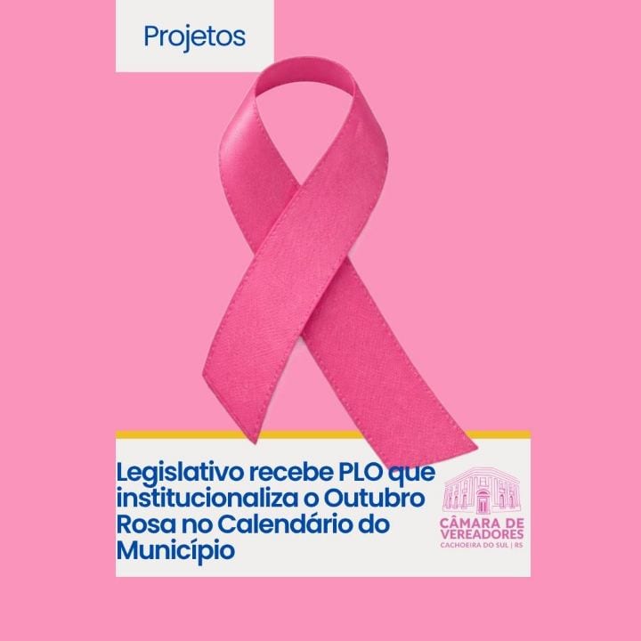 A vereadora Juliana Spolidoro apresentou na quinta-feira, dia 22, o Projeto de Lei Ordinária (PLO) nº 74/2026, que insti