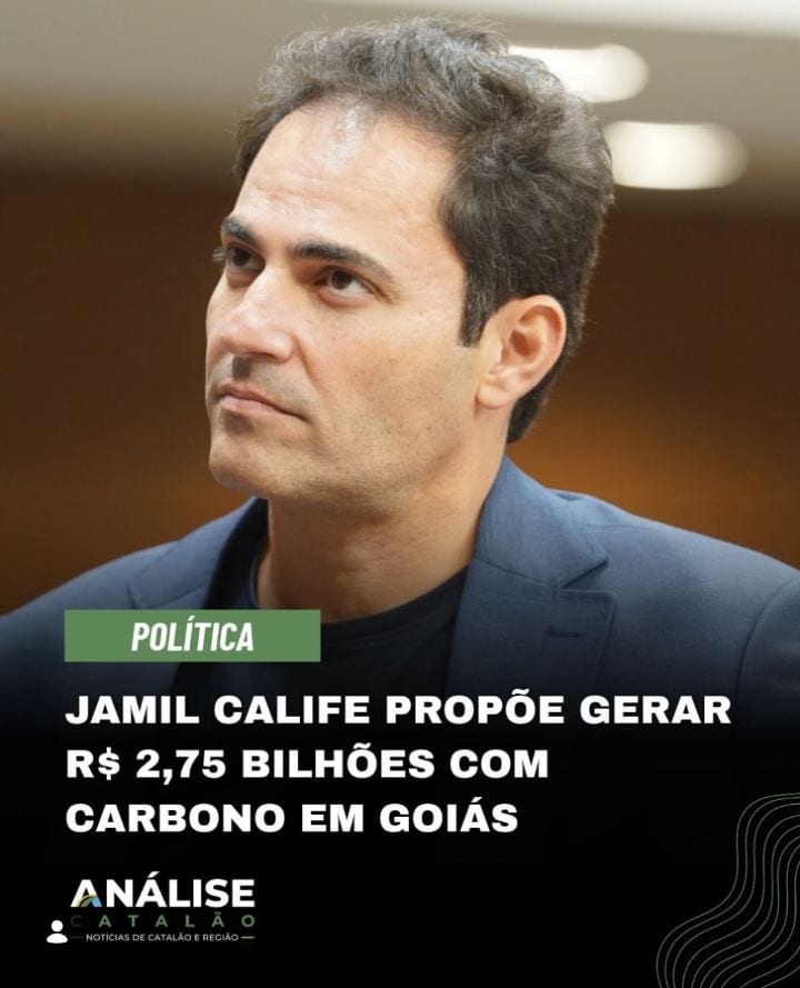 Créditos de carbono podem gerar até R$ 2,75 bi para Goiás
