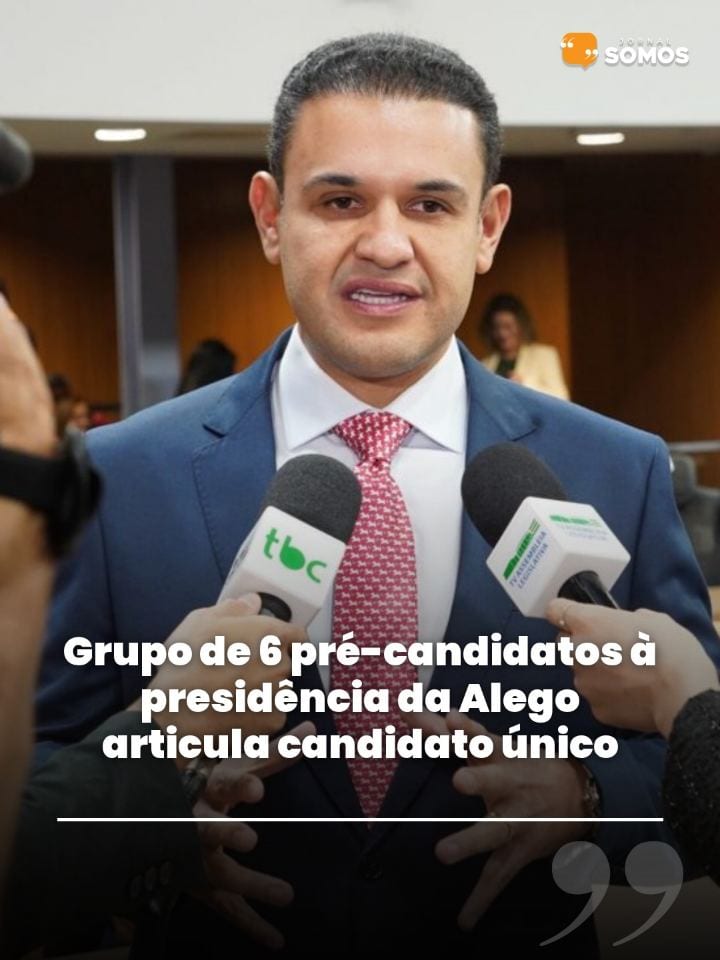 Um grupo formado por seis pré-candidatos à presidência da Assembleia Legislativa de Goiás (Alego) articula o lançamento