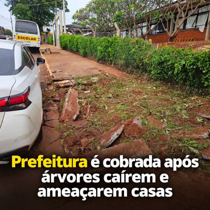 Vereador Porkim cobra Prefeitura após árvores caírem e ameaçarem casas
