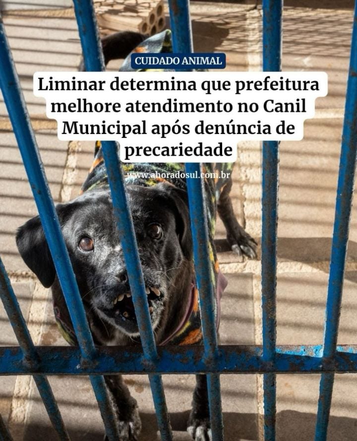 O Ministério Público do Rio Grande do Sul (MPRS), por meio da 2ª Promotoria de Justiça Especializada, obteve uma decisão