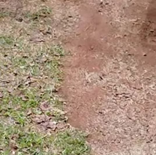 Exercendo meu papel de vereadora, estive fazendo uma visita na Escola Padre Manoel da Nóbrega, averiguando a situação da