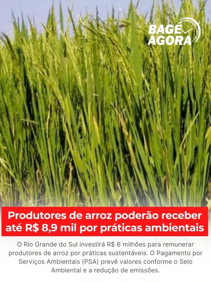 O governo do Rio Grande do Sul vai investir R$ 6 milhões no Pagamento por Serviços Ambientais (PSA), iniciativa que remu