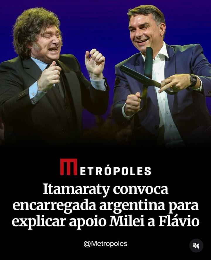 O Ministério das Relações Exteriores convocou a encarregada de negócios da Argentina para pedir informações sobre o envo