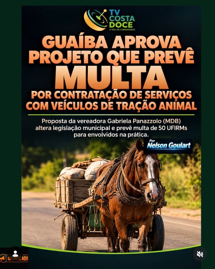 Guaíba aprova lei que restringe tração animal e prevê multa de 50 UFIRMs