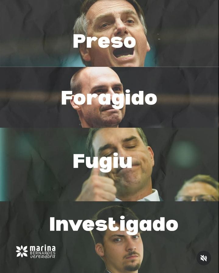 A faMilícia Bolsonaro surpreende alguém?
