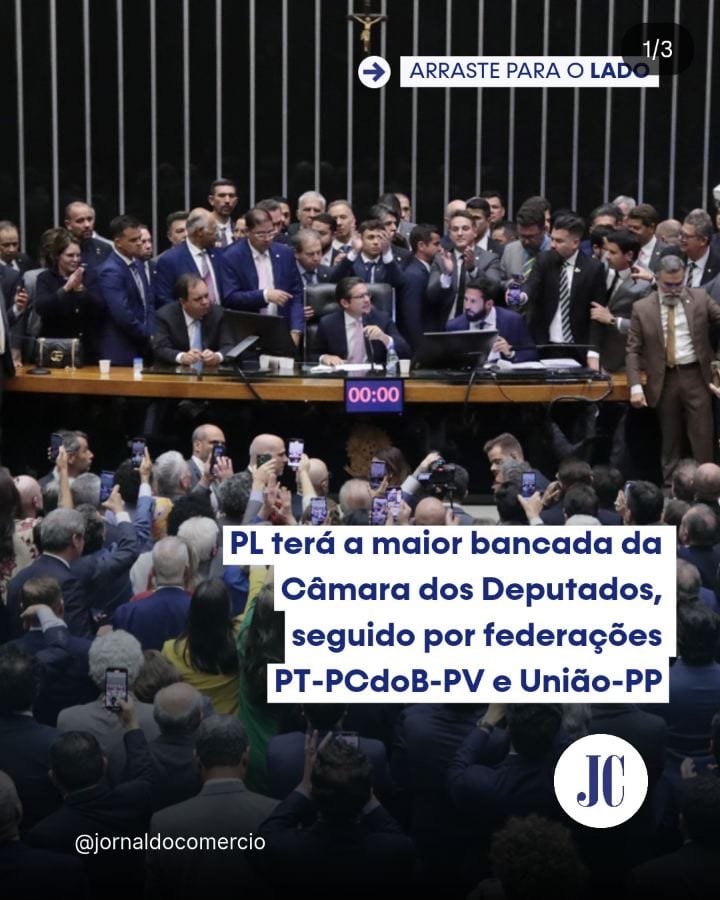 Os eleitores brasileiros elegeram, em 4 de outubro, os 513 deputados federais que estarão no Congresso Nacional na próxi