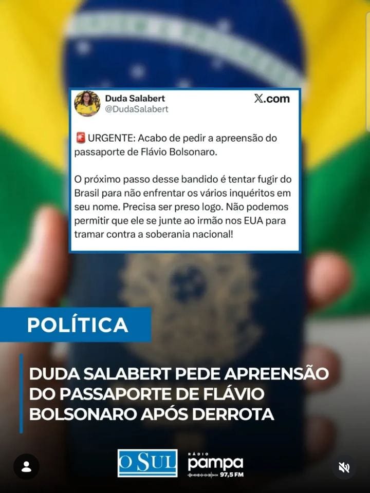 A deputada federal Duda Salabert (Psol-MG) pediu à Justiça a apreensão do passaporte do senador Flávio Bolsonaro (PL), d