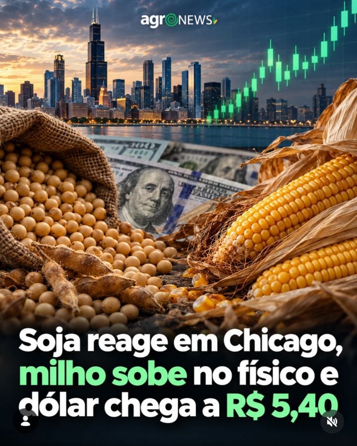 Dólar salta a R$ 5,40 com eleição de Lula, Soja reage em Chicago e Milho sobe no físico!
