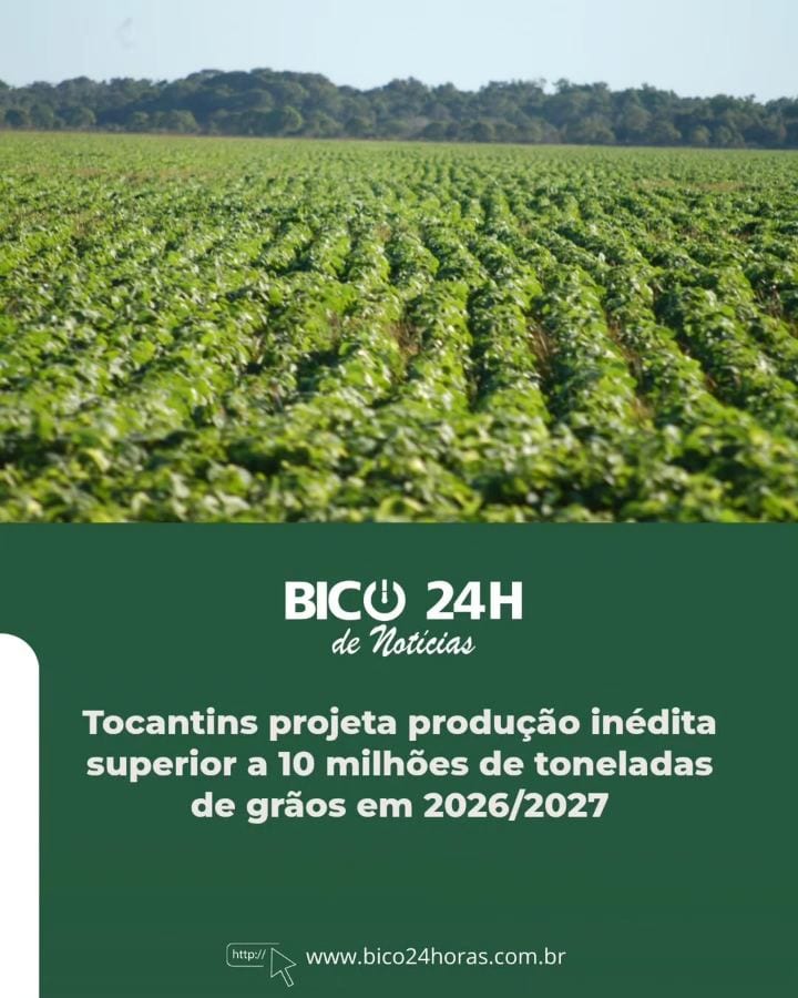 DESTAQUE PARA SOJA, MILHO E ARROZ / O Tocantins poderá, pela primeira vez, superar a marca de 10 milhões de toneladas de