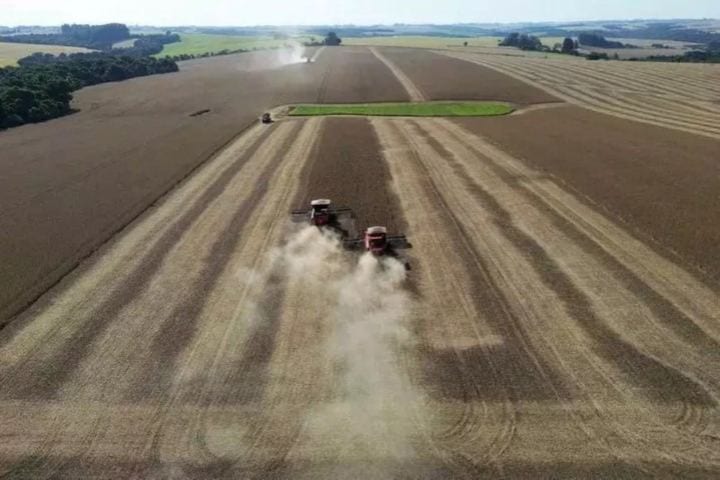 Governo gaúcho seleciona negócios inovadores do agronegócio para capacitação internacional - https://tapejaraagora.com.