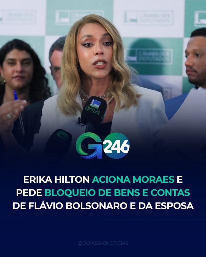 A deputada federal Erika Hilton (PSOL-SP) apresentou ao ministro Alexandre de Moraes, do Supremo Tribunal Federal (STF),