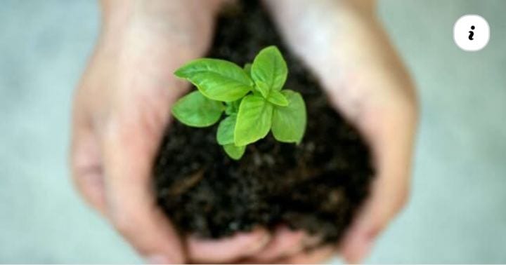 #NexoPolíticasPúblicas: Entenda o que são os bioinsumos, de onde vieram e por que podem definir a próxima etapa da agric