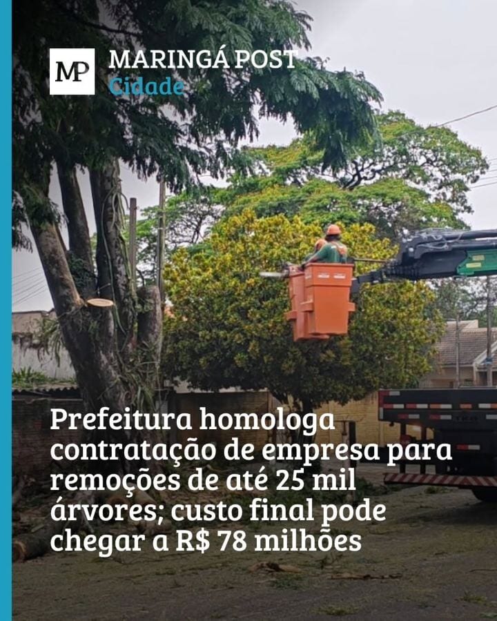 ARBORIZAÇÃO - A Prefeitura de Maringá finalizou o processo de contratação de uma empresa terceirizada para a realização