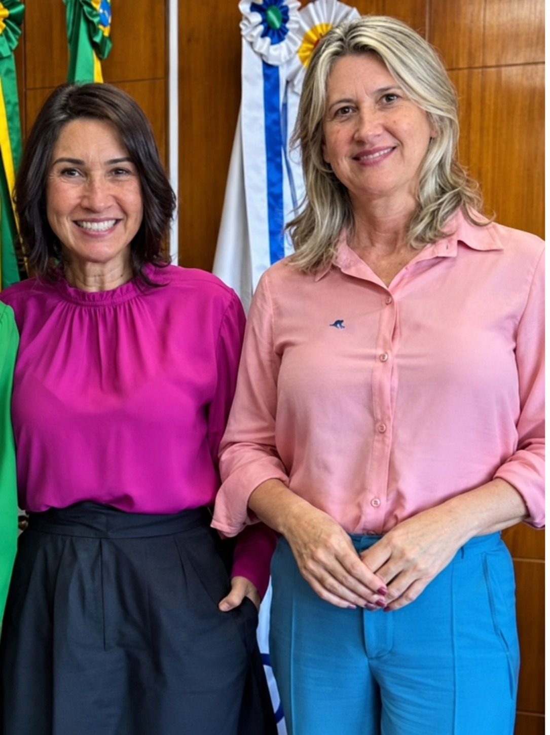 Nova Assembleia terá recorde de mulheres conservadoras